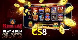 CS8